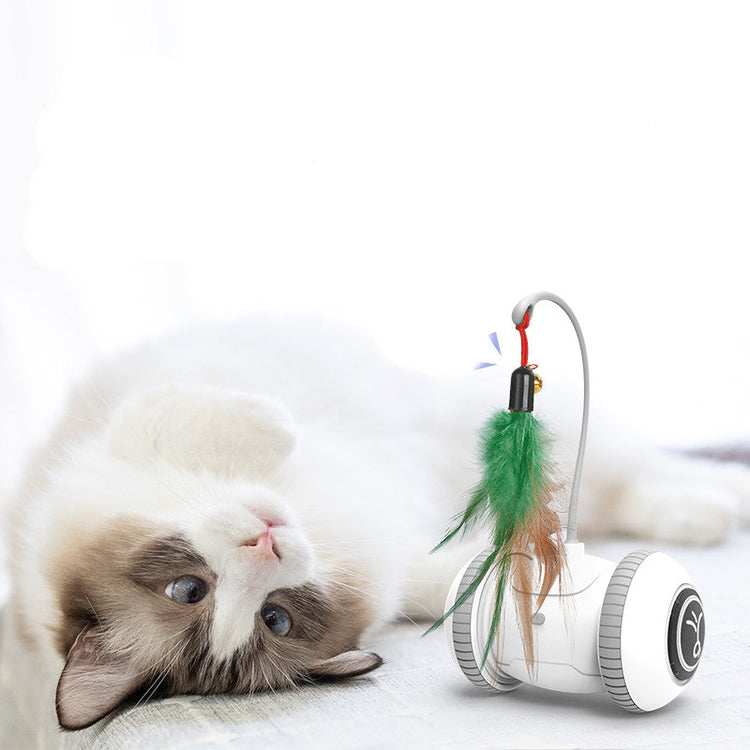 Interactive Cat Toy With Interchangeable Pet Feather Toys