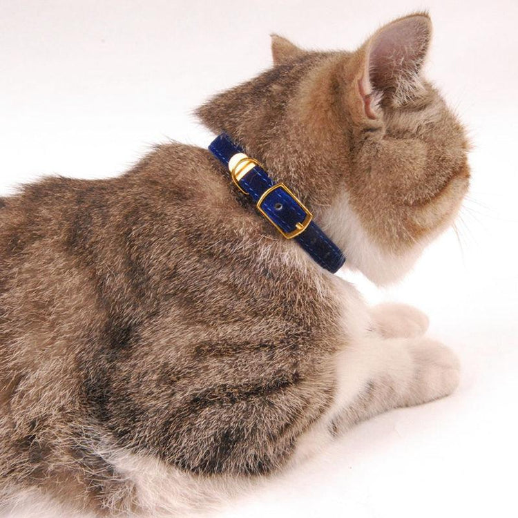 Luxurious Flocked Cat Collar: The Ultimate Pet Accessory For Style And