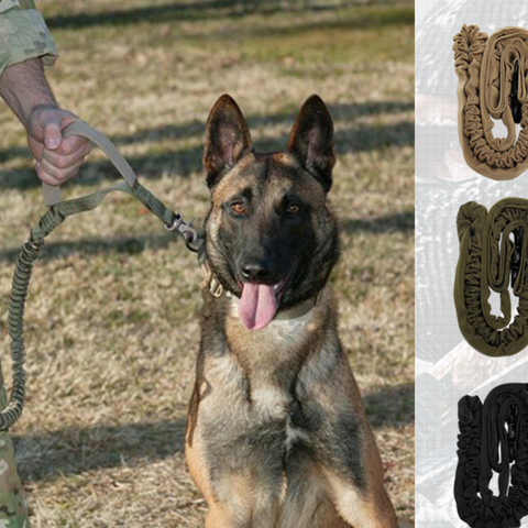 Pet Dog Leash With Highly Reflective Threads