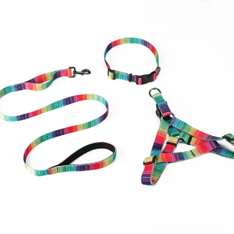 Matching Leash & collars Set