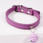 Stylish Pet Bell Collar With Colorful Traction For Cats And Dogs