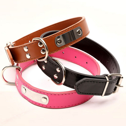 Collars & Leashes