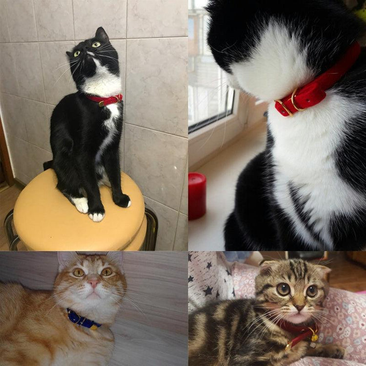 Luxurious Flocked Cat Collar: The Ultimate Pet Accessory For Style And