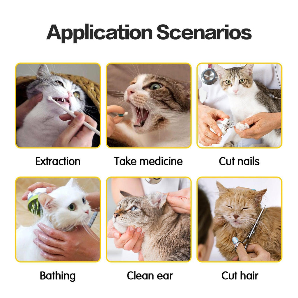 Anti-Scratch And Bite Cat Travel Bag With Double Lining - Stylish And